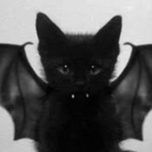 Meet your Posher, G0thicorn